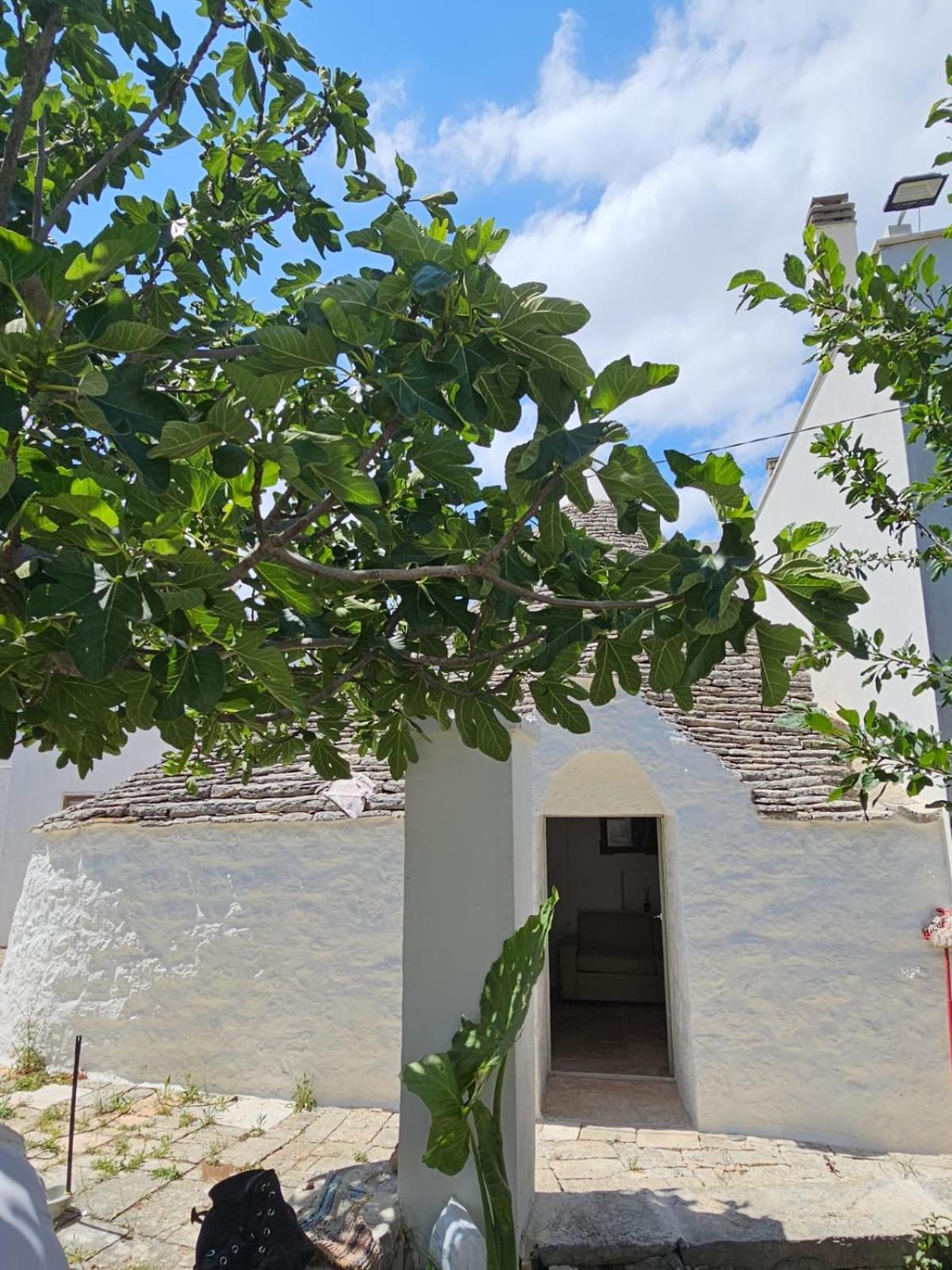River Trulli Oasi Di Pace In Sito Unesco Alberobello Buitenkant foto