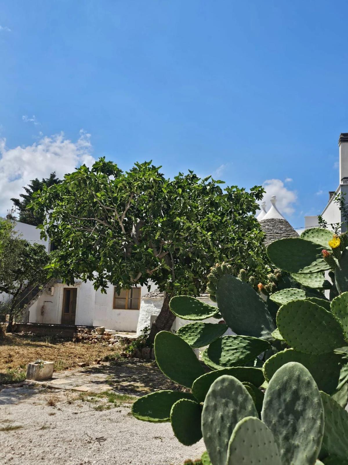 River Trulli Oasi Di Pace In Sito Unesco Alberobello Buitenkant foto